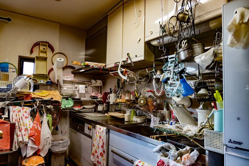 害虫が発生する原因は？